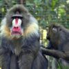 ZOO Herberstein a nejteplejší jezero v Alpách