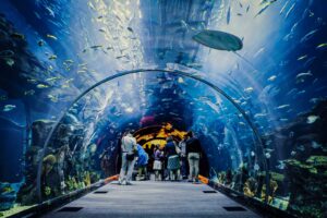 Tropicarium A ZOO Budapešť