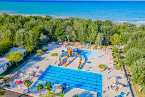 Kemp Stork Family Collection