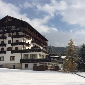 Parc Hotel Miramonti***